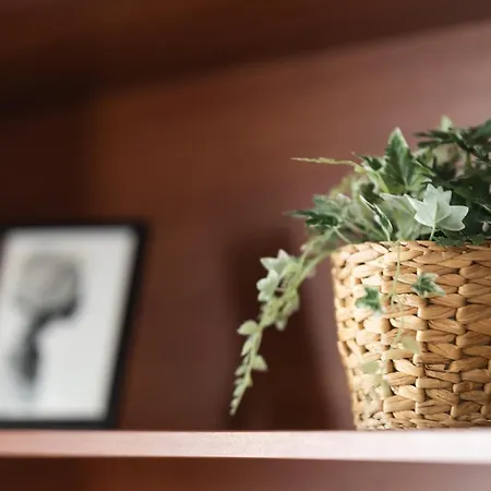 Promenade Rooftop Flat Apartment